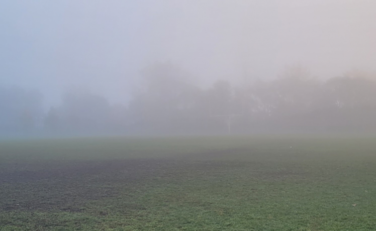 Word from the Mouth: A Crisp Foggy Morning! edition