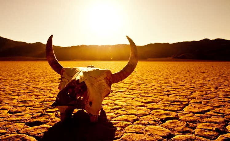 Word from the Mouth: Week 9 - It's Too Damn Hot Out Here edition!