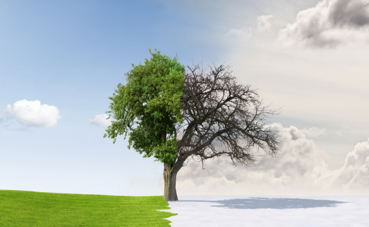 Rules of the Game: Winter and Summer Timing