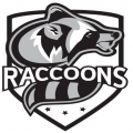 Raccoons