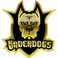 Underdogs Profile Page