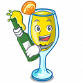 Mimosa Crew Profile Page