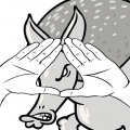 Fighting Armadillos Profile Page