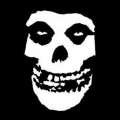 The Lesniaks Profile Page