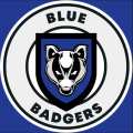 Blue Badgers