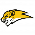 Cheetahs Profile Page
