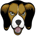 The Wunderdogs