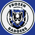 Frozen Badgers Profile Page