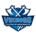 Vikings White