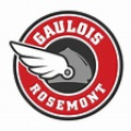 Gauloises