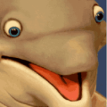 Fins Up