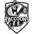 Raccoons