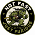 Not Fast Just Furious
